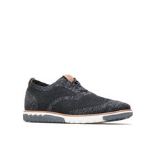 Zapato Casual Expert Wingtip Knit  Black