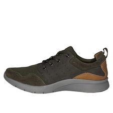 Tenis Ethan  Olive