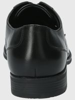 HP11001111270_11